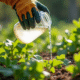 Personne versant un mélange maison contre mauvaises herbes dans un jardin